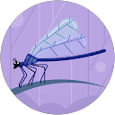 Rosio Garcia profile picture